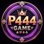 P444 Game